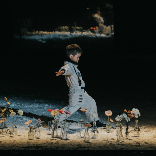 LE PETIT PRINCE